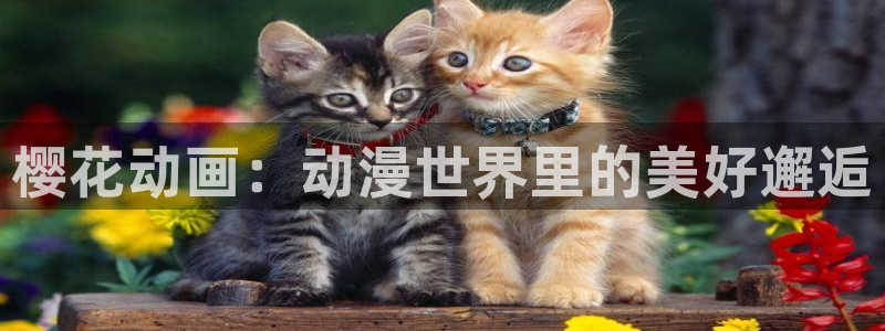 香蕉漫画免费网站入口：樱花动画：动漫世界里的美好邂逅
